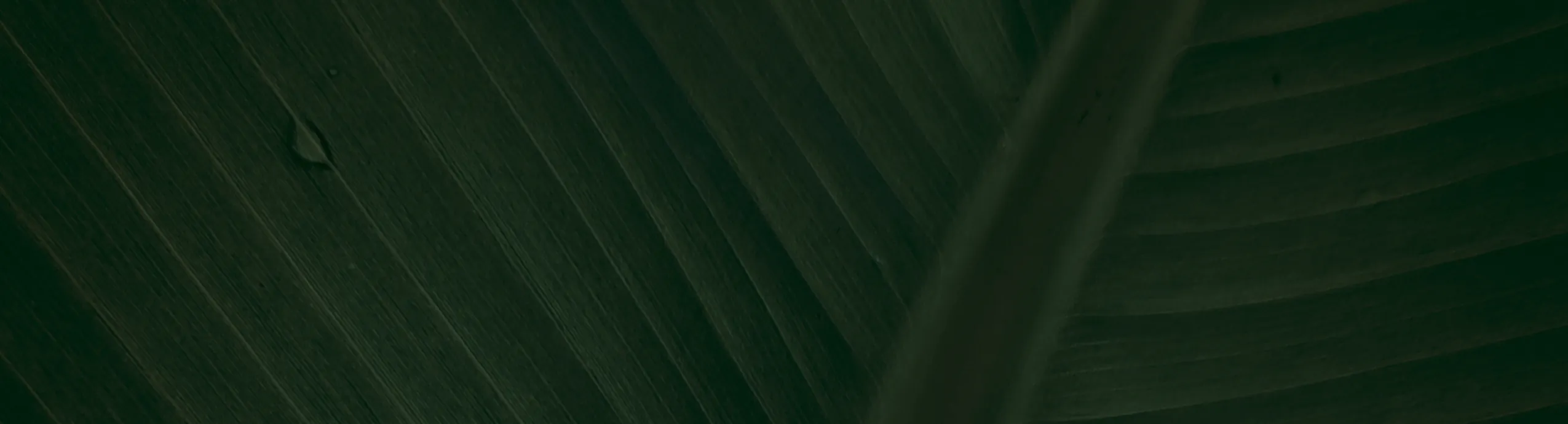 Brunch Signature Gourmand